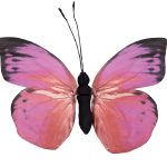 ΠΕΤΑΛΟΥΔΑ ΧΑΡΤ. ΡΟΖ 80Χ70Χ7ΕΚ