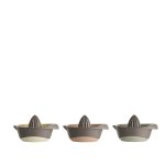 DAY ΛΕΜΟΝΟΣΤΙΦΤΗΣ PP 3 ΧΡΩΜΑΤΑ ASS.