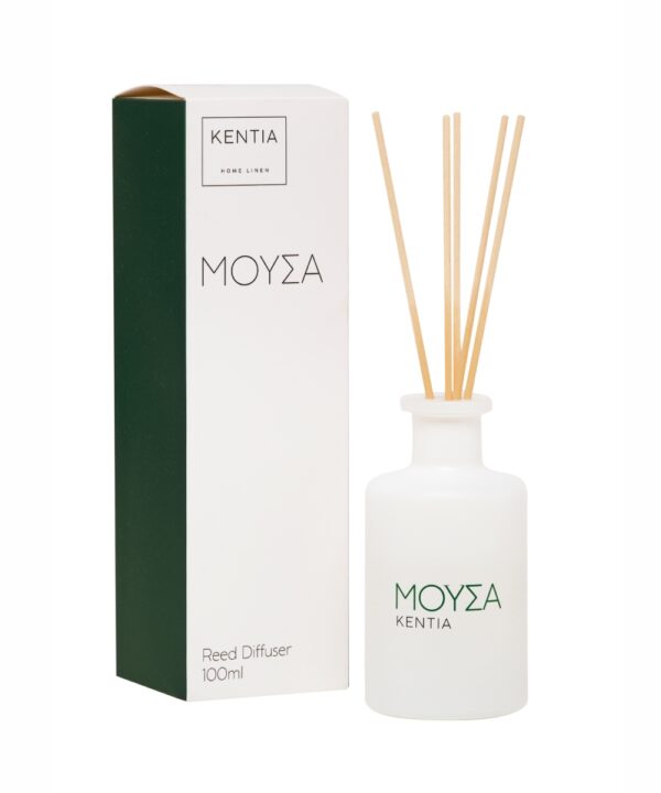 MOOD 25 ΜΟΥΣΑ DIFFUSER SECRET WOOD