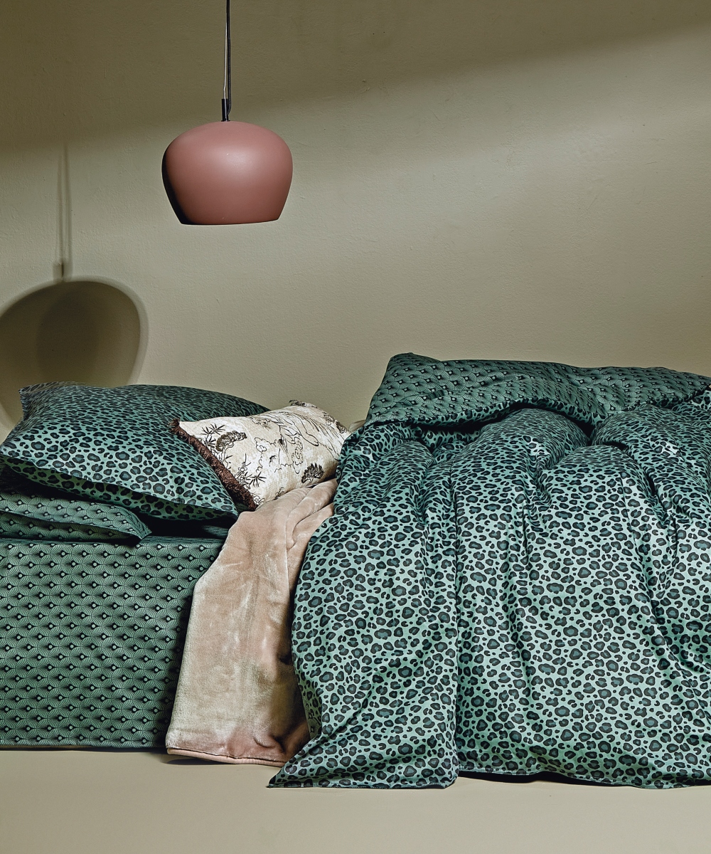 DAKAR 02 ΠΑΠΛΩΜΑ.ΥΠΕΡΔΙΠΛΟ