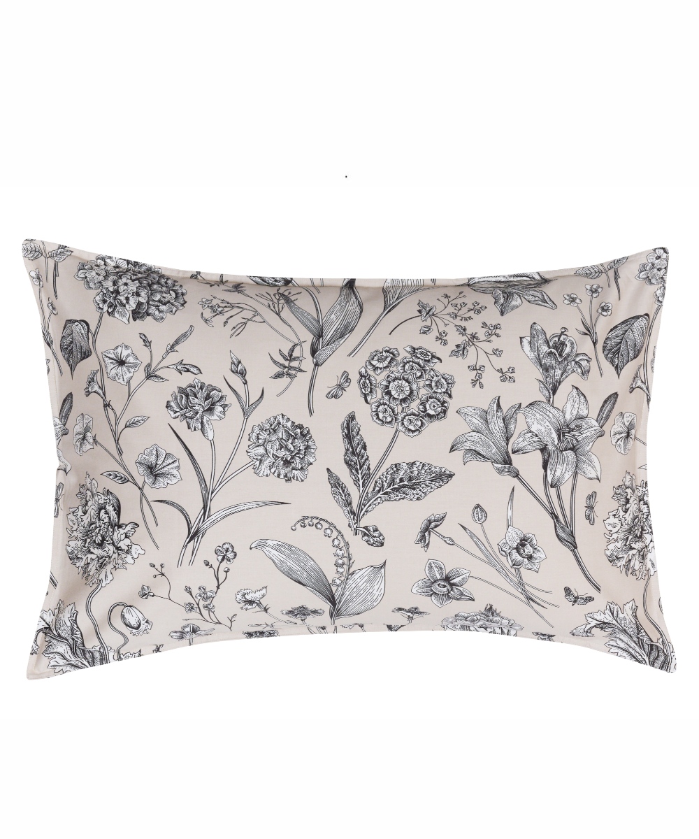 ALIDA 15 ΜΑΞΙΛΑΡΟΘΗΚΕΣ.ΣΕΤ 2 ΤΕΜ