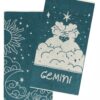 ZODIAC-GEMINI ΣΕΤ 2 ΤΕΜ ΠΕΤΣΕΤΕΣ ΠΡΟΣΩΠΟΥ